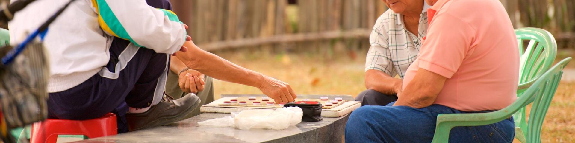 Kaohsiung Confucius Temple showing a garden as well as a small group of people