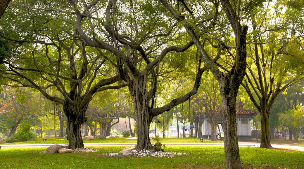 Tempo di Confucio a Kaohsiung caratteristiche di giardino