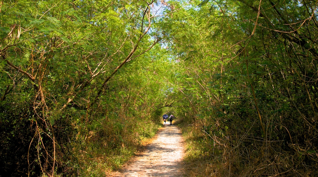 Distrito de Gushan