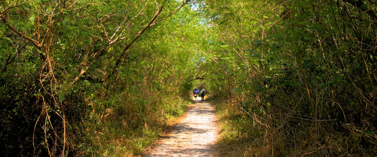 Gushan District which includes hiking or walking and tranquil scenes as well as a couple
