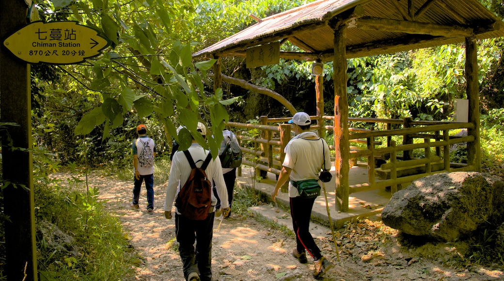 Caishan Natural Park showing a park as well as a small group of people