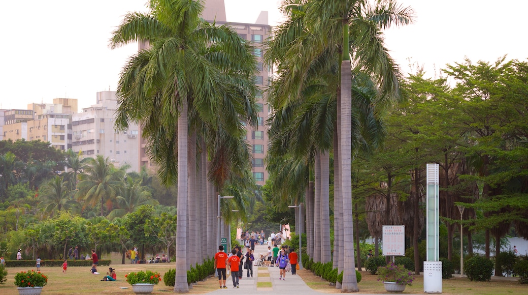 Central Park showing a park