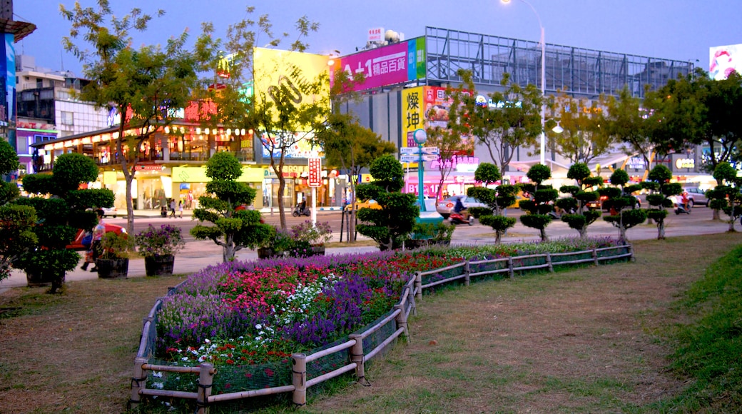 Central Park showing flowers and a park