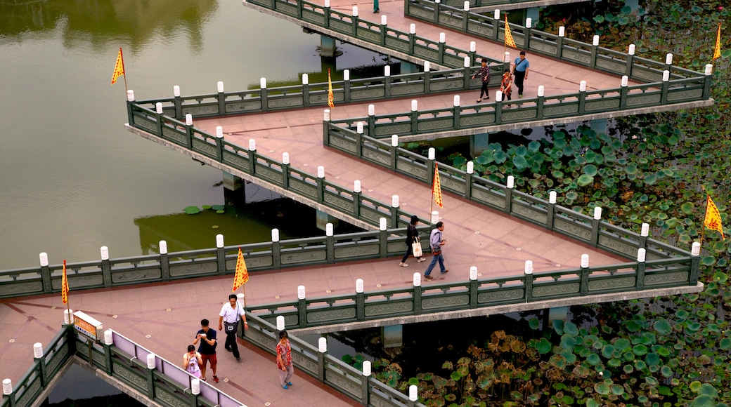 Dragon Tiger Tower showing a pond