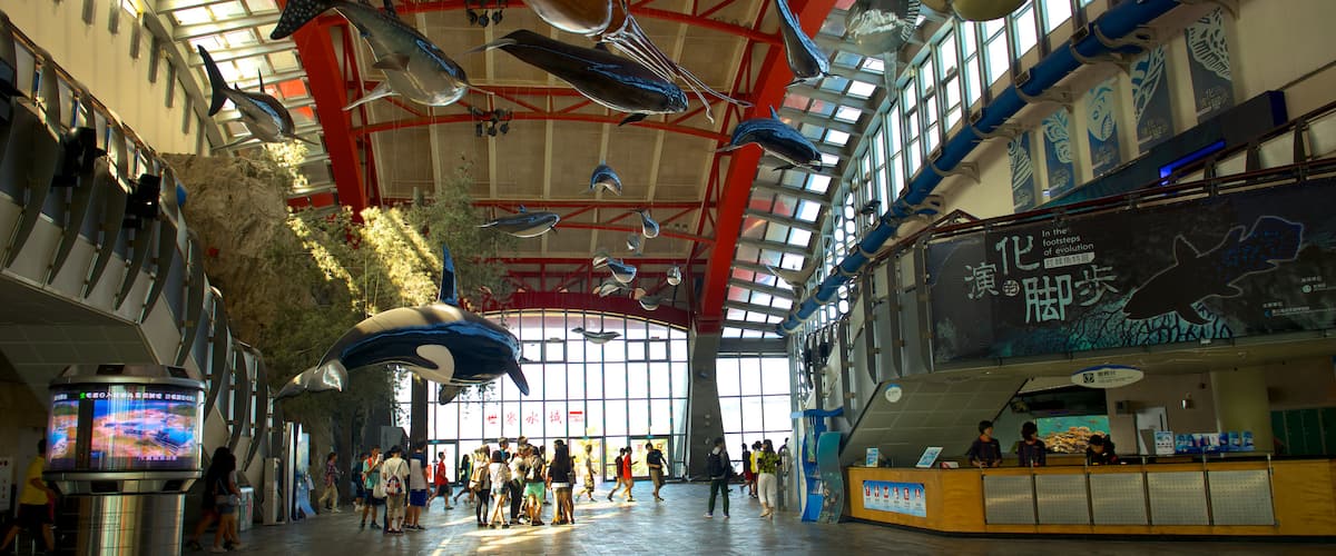 National Museum of Marine Biology and Aquarium featuring interior views