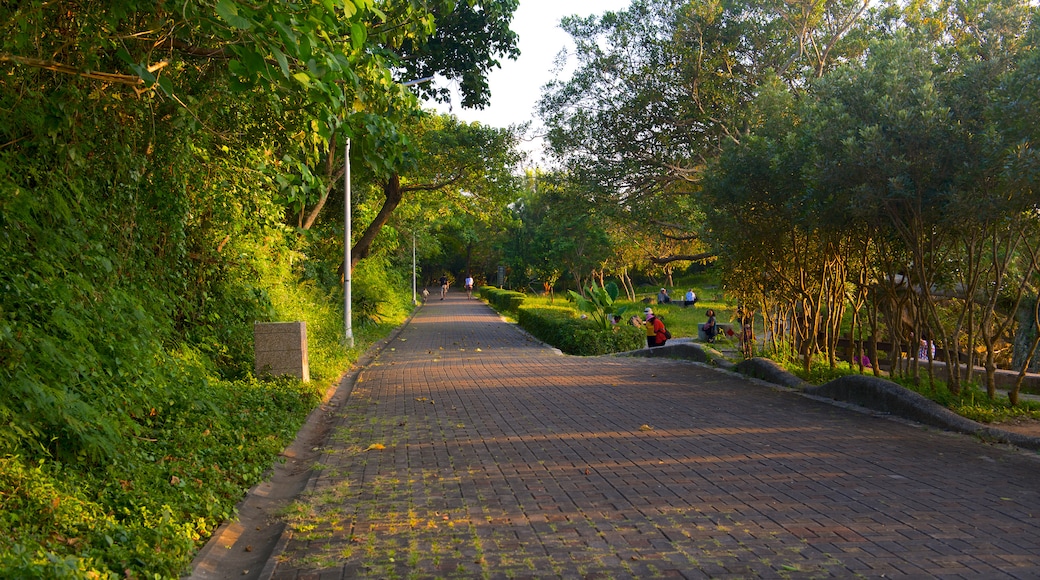 Kenting National Park showing a park