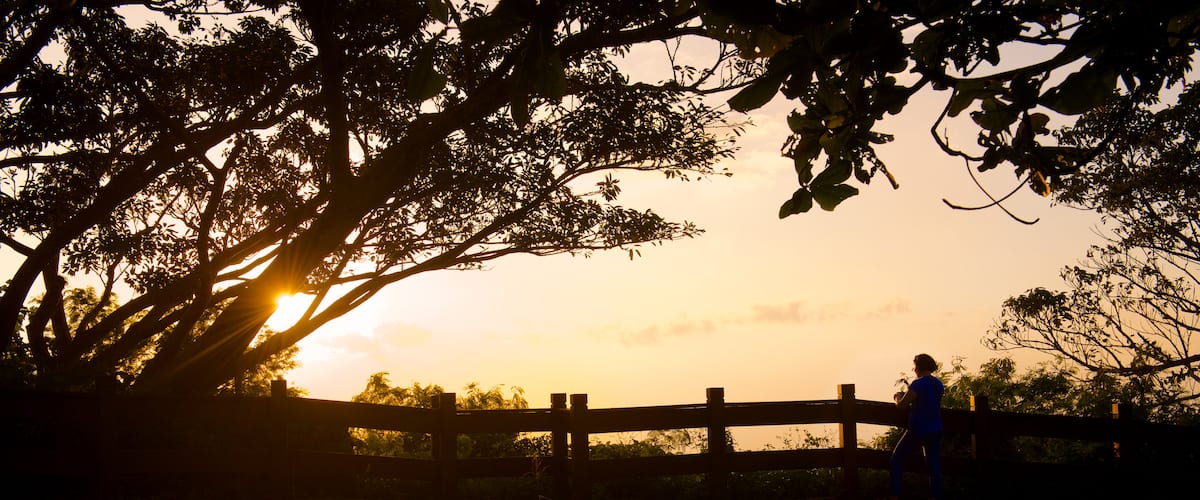 Parque Nacional de Kenting que incluye un parque y una puesta de sol