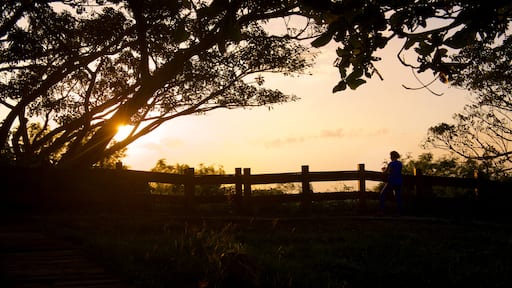 Kenting National Park featuring a sunset and a garden