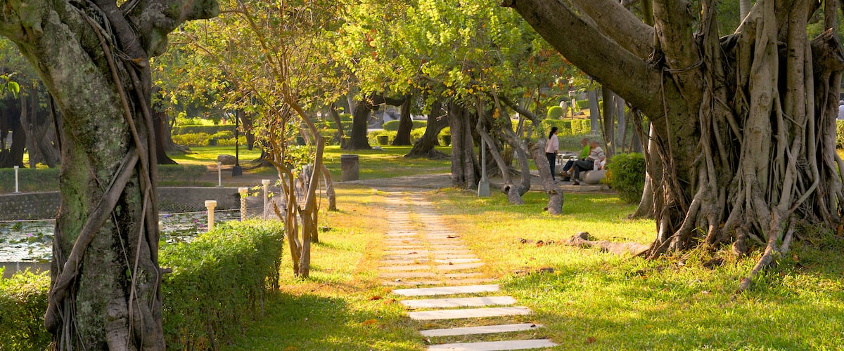 Taichung Park featuring a garden