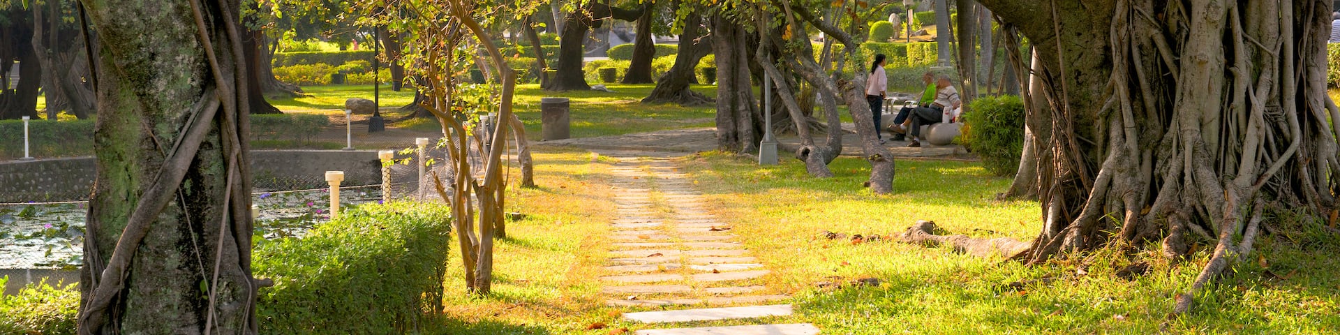 Taichung Park showing a garden
