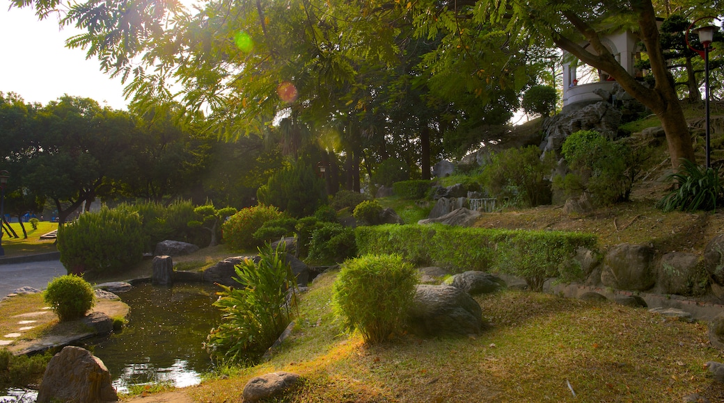 Taichung Park featuring a park