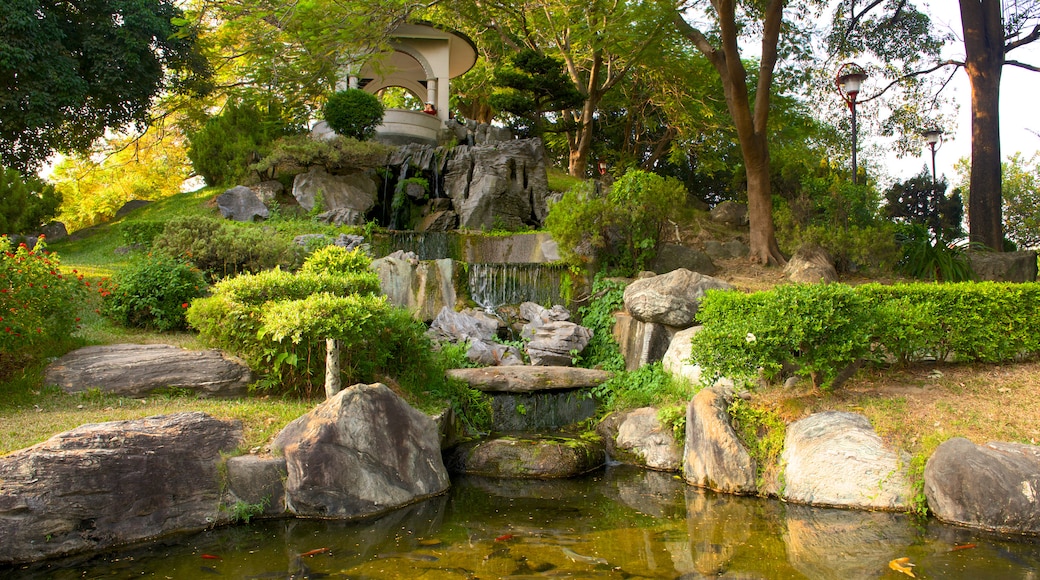 Taichung Park featuring a pond and a garden