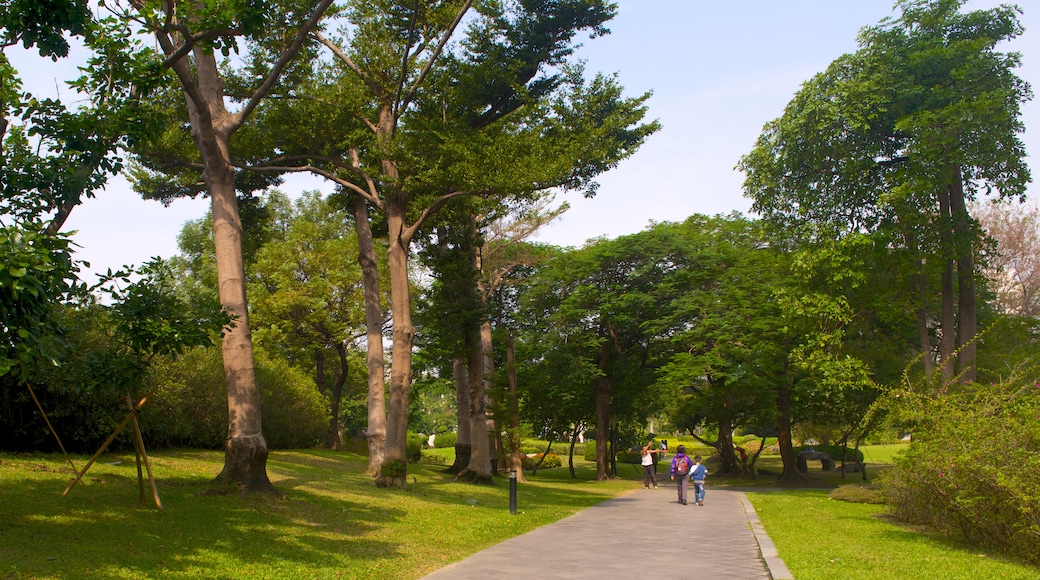 National Museum of Natural Science showing a park