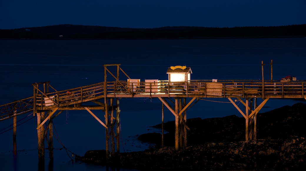 Bar Harbor welches beinhaltet Bucht oder Hafen und bei Nacht