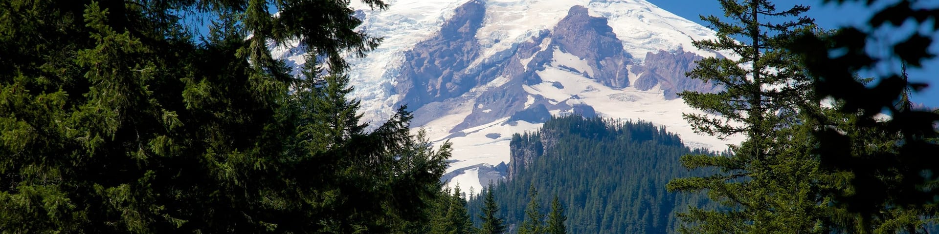 Mount Rainier National Park which includes snow, forests and tranquil scenes