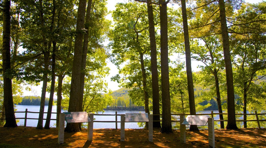 Maine showing tranquil scenes and a lake or waterhole