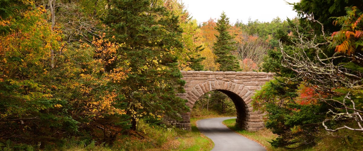 Parque Nacional Acadia que incluye bosques y un puente