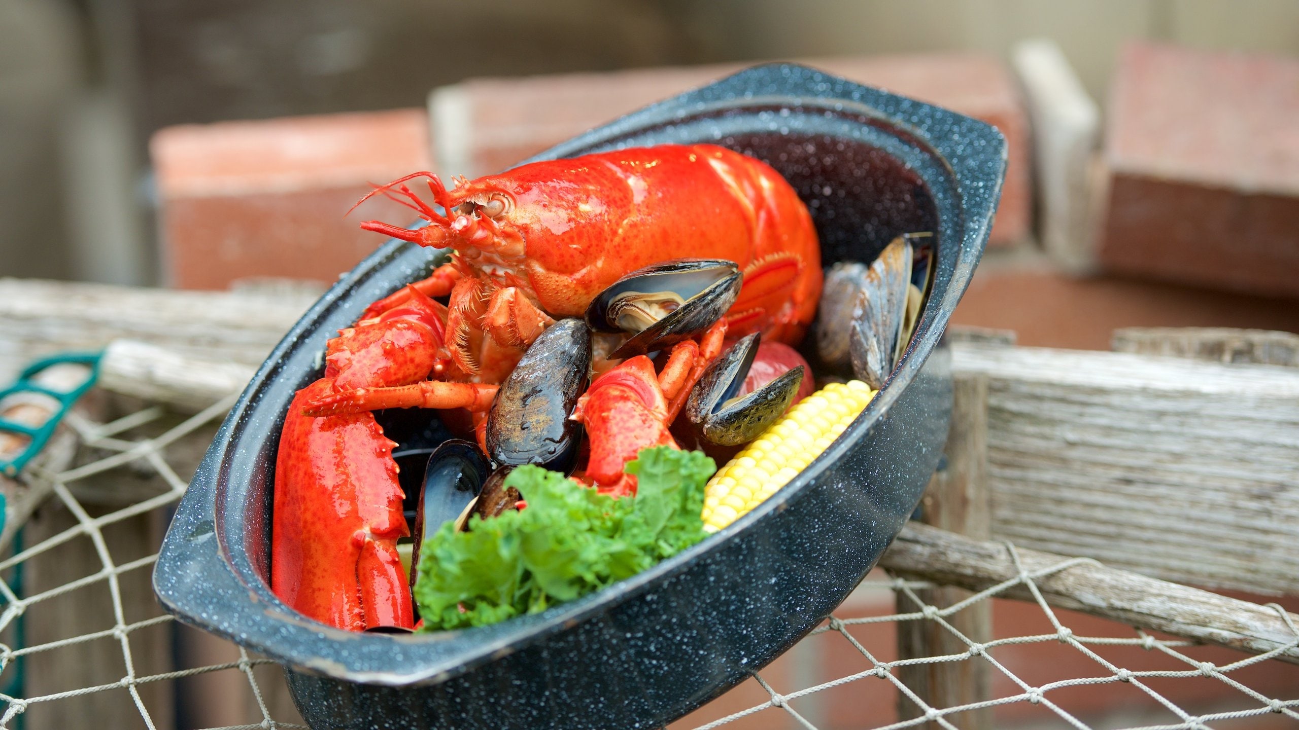 Acadia National Park in Maine Expedia.co.uk