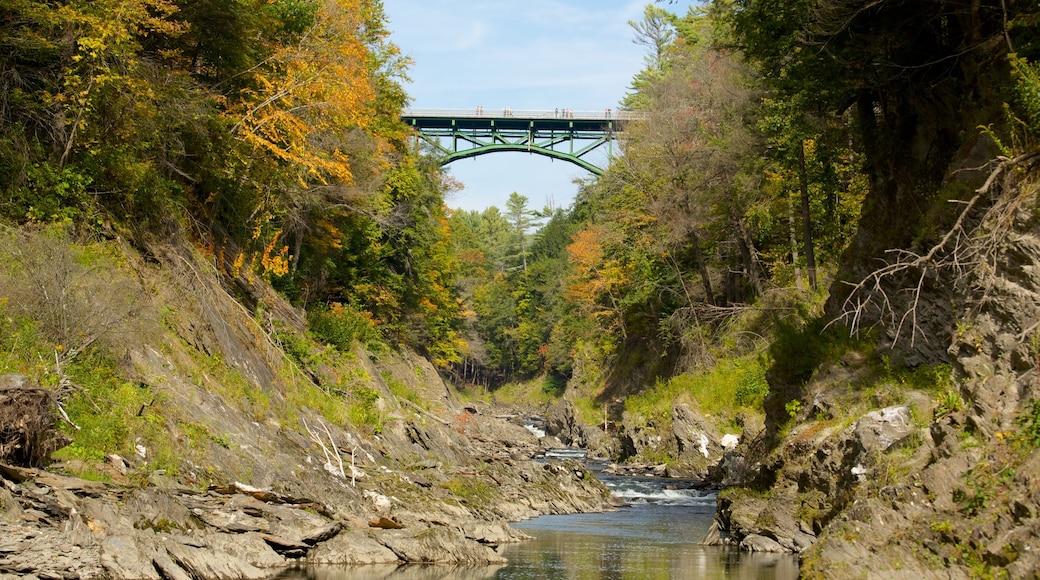 Quechee showing a bridge, a river or creek and forests