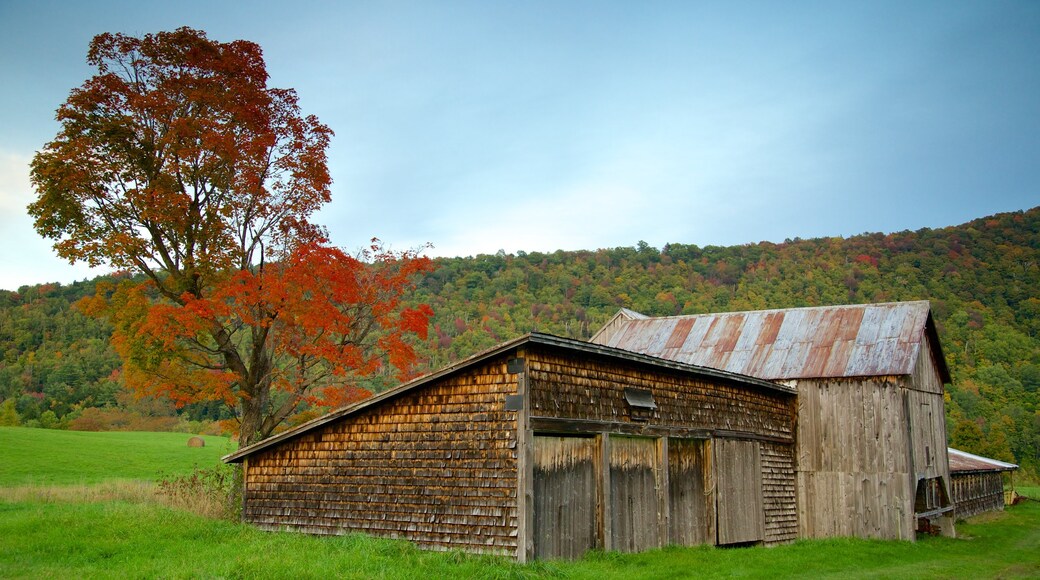 Central Vermont which includes autumn leaves