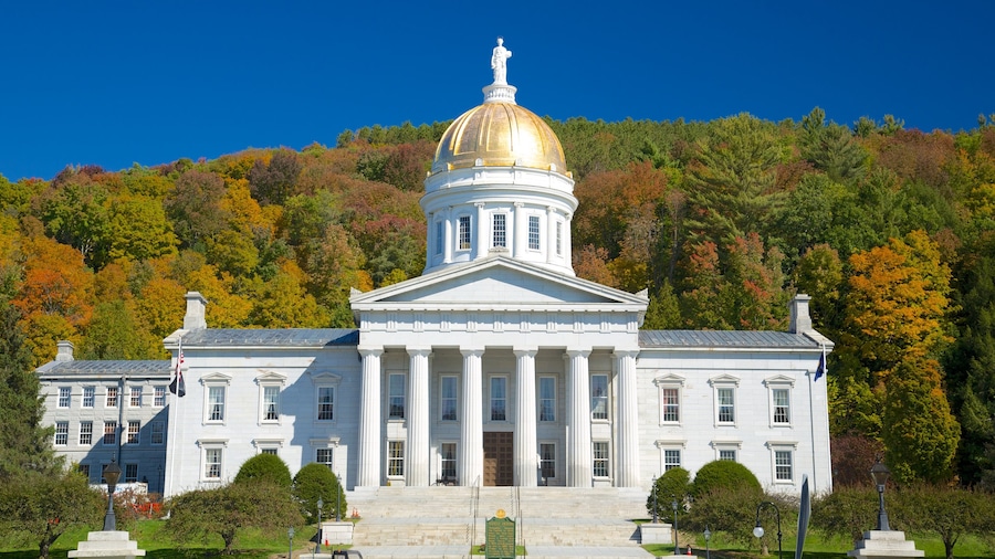 Montpelier che include foresta, edificio amministrativo e architettura d\'epoca