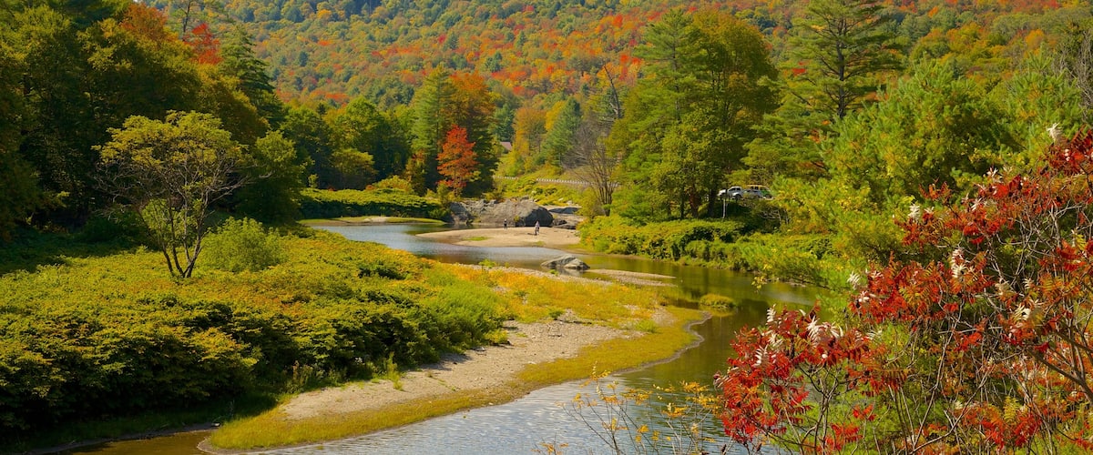 Northern Vermont che include paesaggio forestale, colori d\'autunno e fiume o ruscello