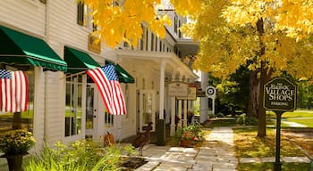 Manchester showing fall colors