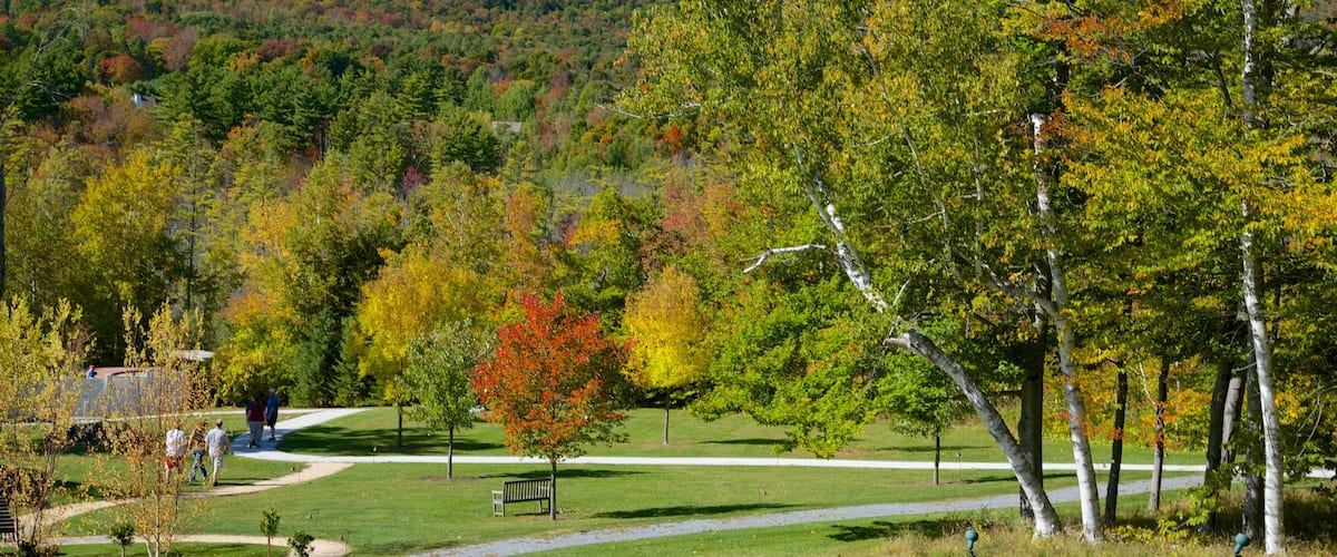 Southern Vermont showing fall colors and a garden