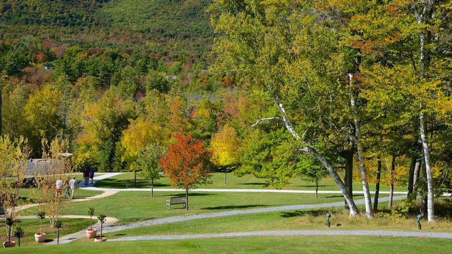 Sydlige Vermont og byder på en have og efterårsfarver