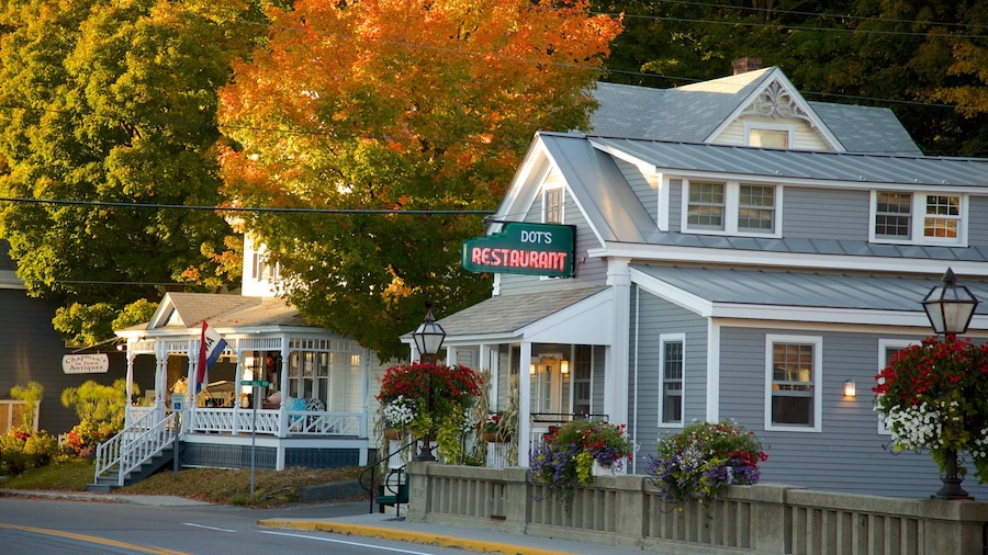 Wilmington showing autumn leaves and a city