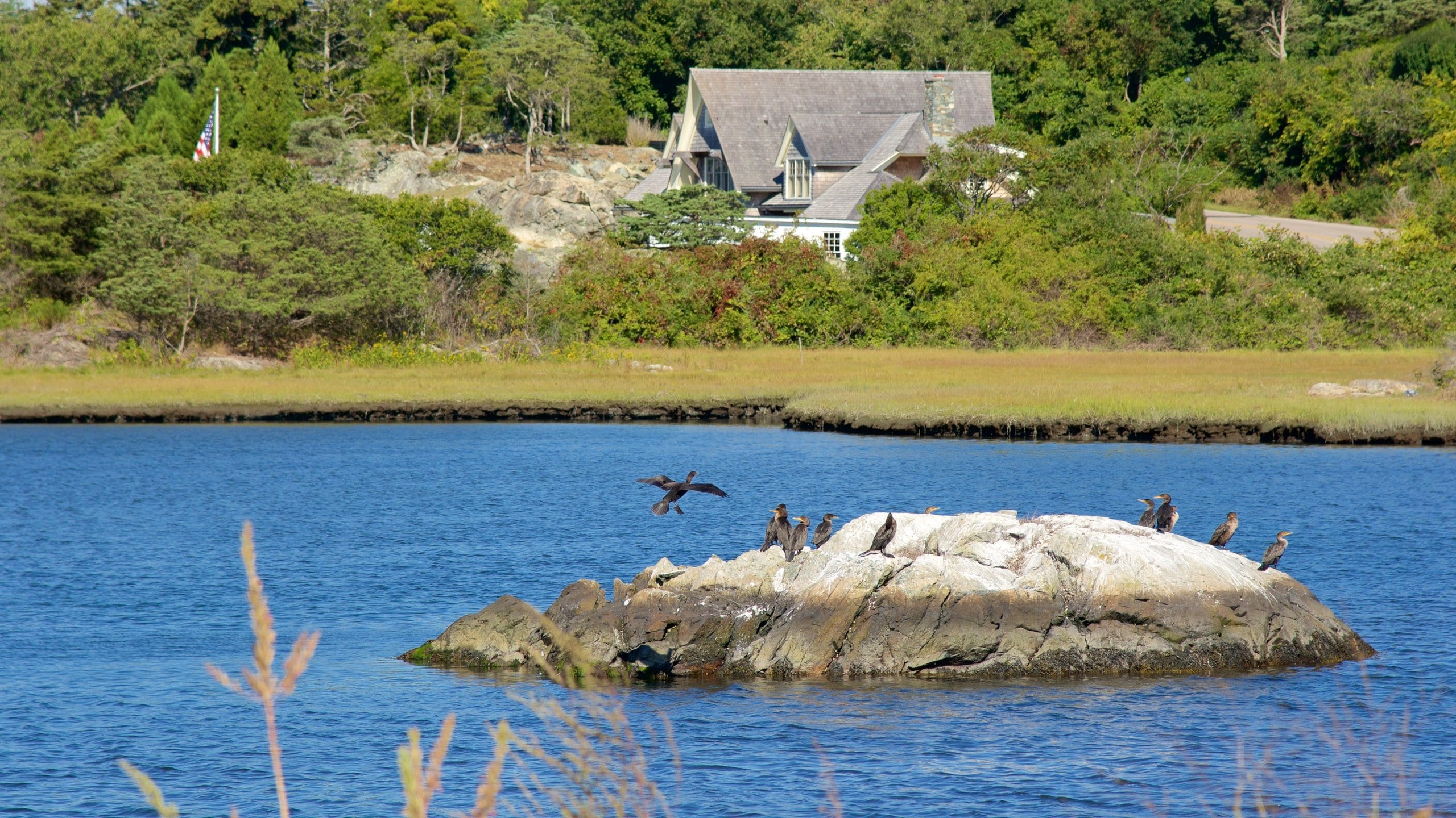 Visita Contea di Washington scopri il meglio di Contea di Washington