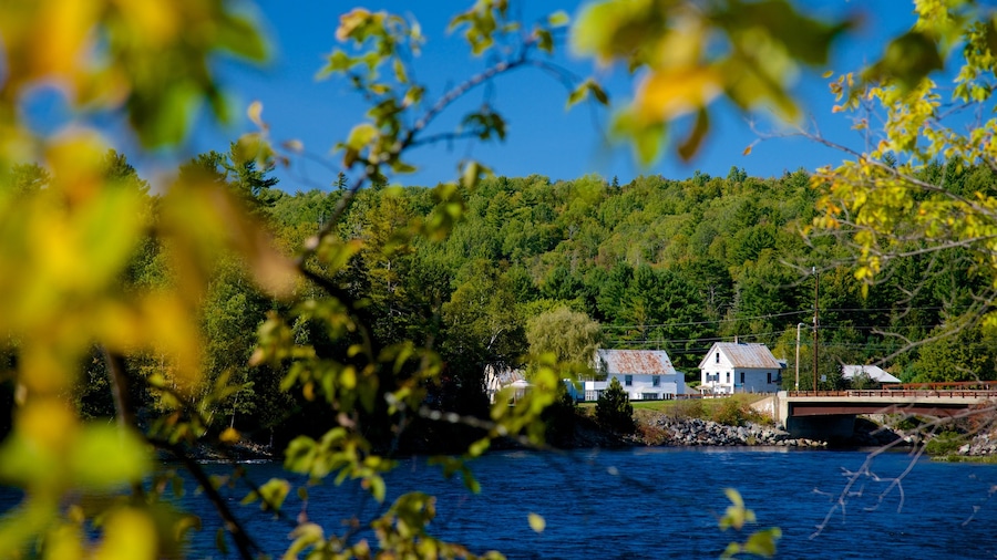 The Forks featuring forest scenes, tranquil scenes and a river or creek