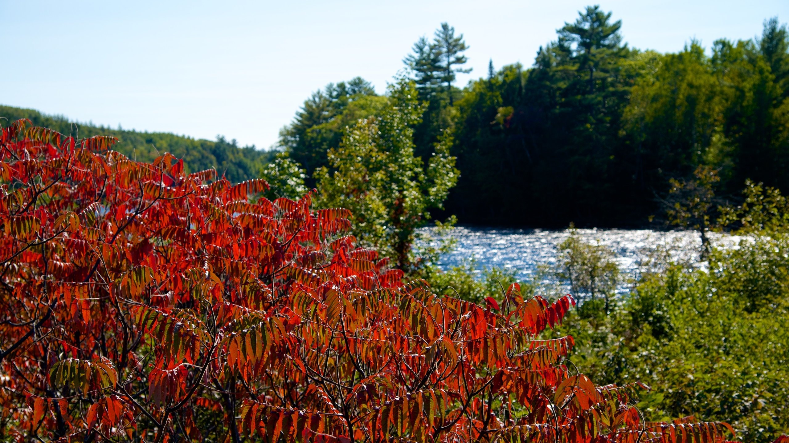 The Forks Travel Guide Best of The Forks, West Forks Travel 2024