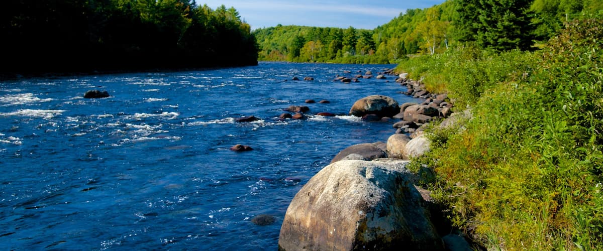 The Forks showing tranquil scenes and a river or creek
