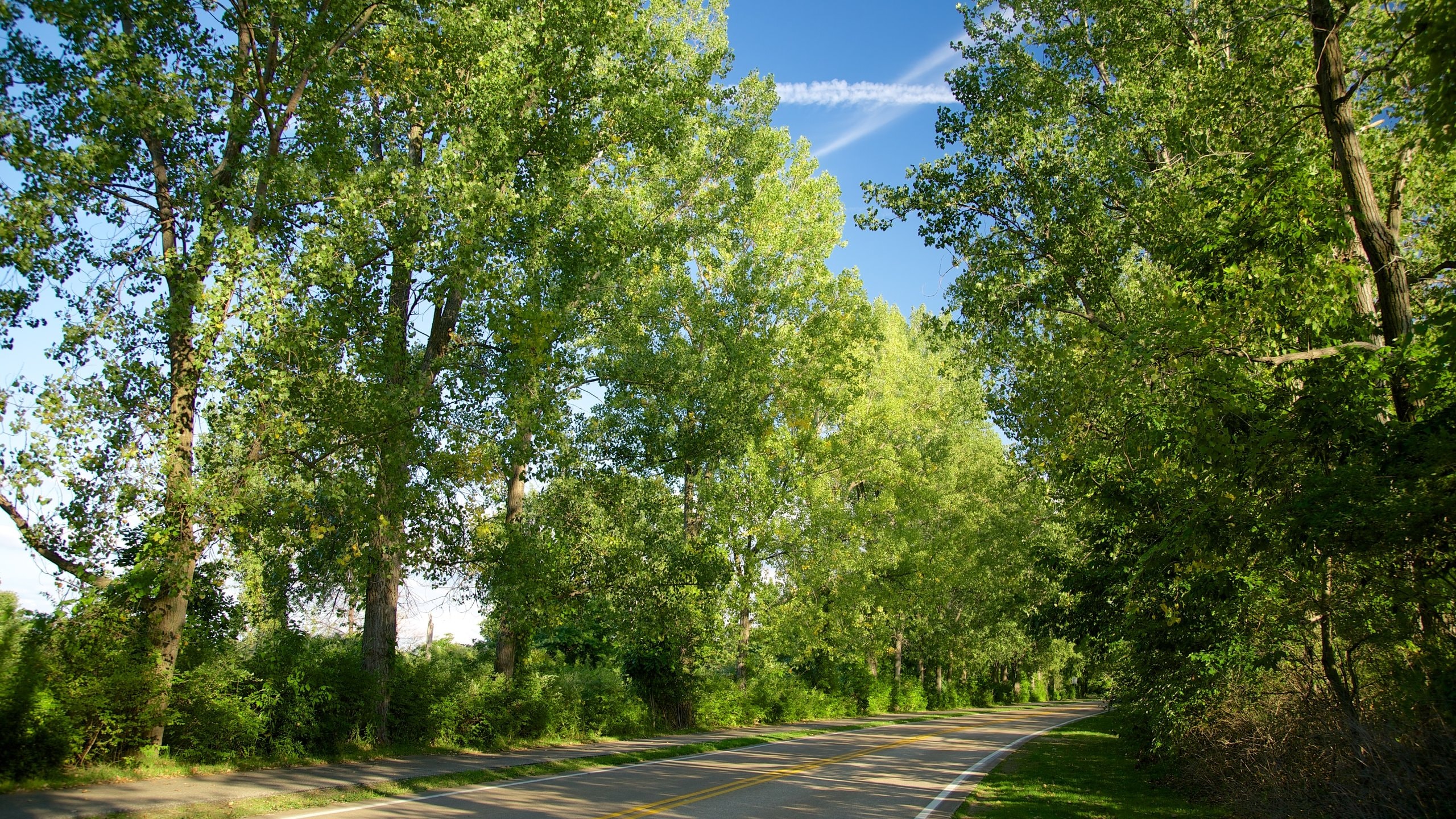 Erie featuring tranquil scenes