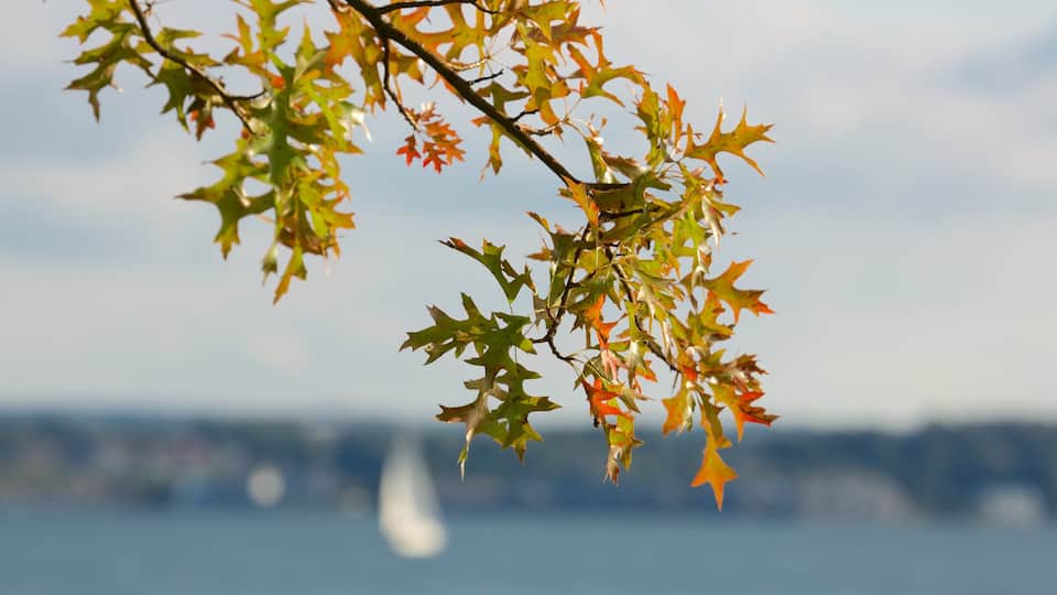 Erie montrant couleurs d\'automne