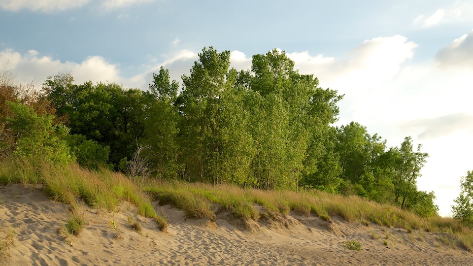 Erie montrant plage de sable et scènes tranquilles