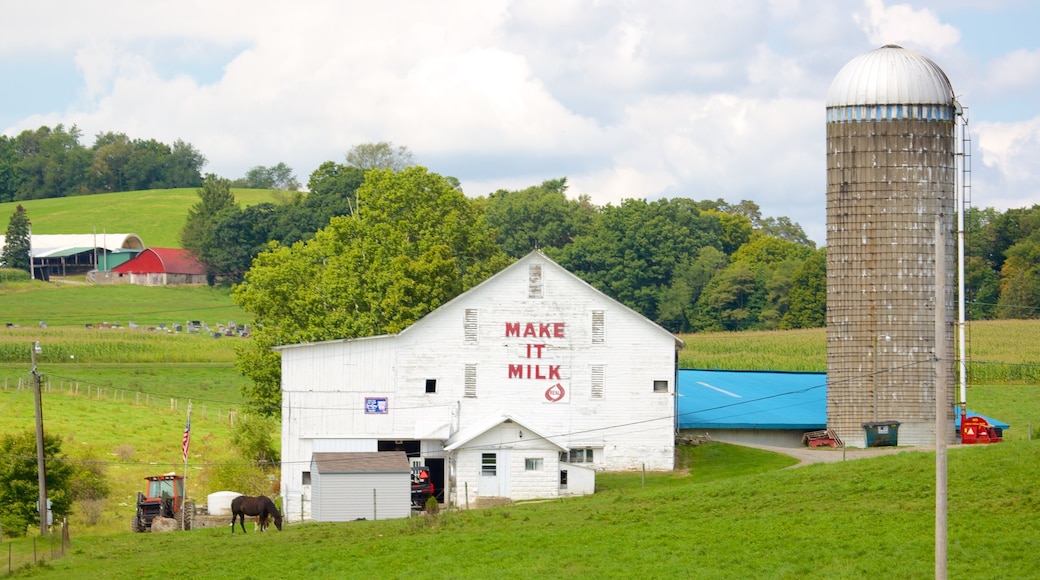 Greensburg welches beinhaltet Farmland