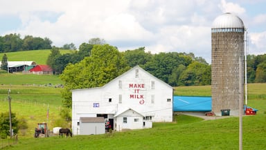 Greensburg which includes farmland