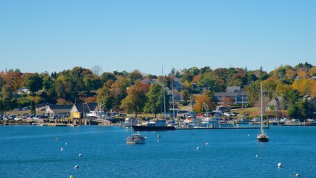Northeast Harbor showing a bay or harbor