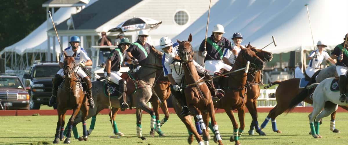 Saratoga Springs ofreciendo animales terrestres y equitación y también un grupo pequeño de personas