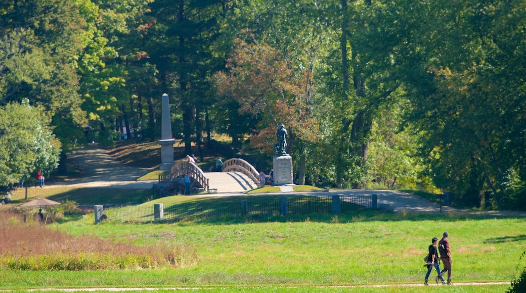 Concord featuring a garden