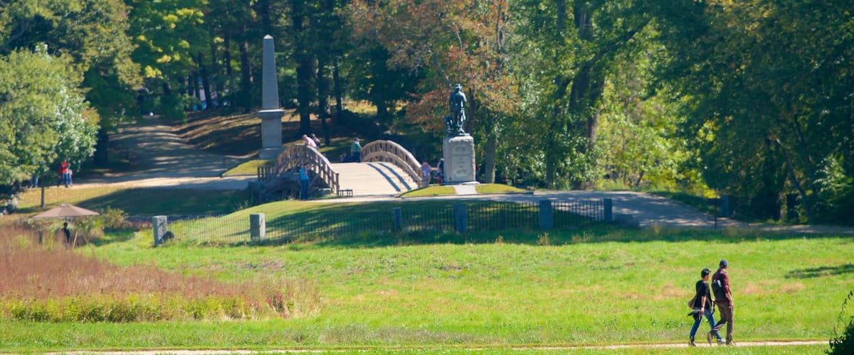 Concord showing a park