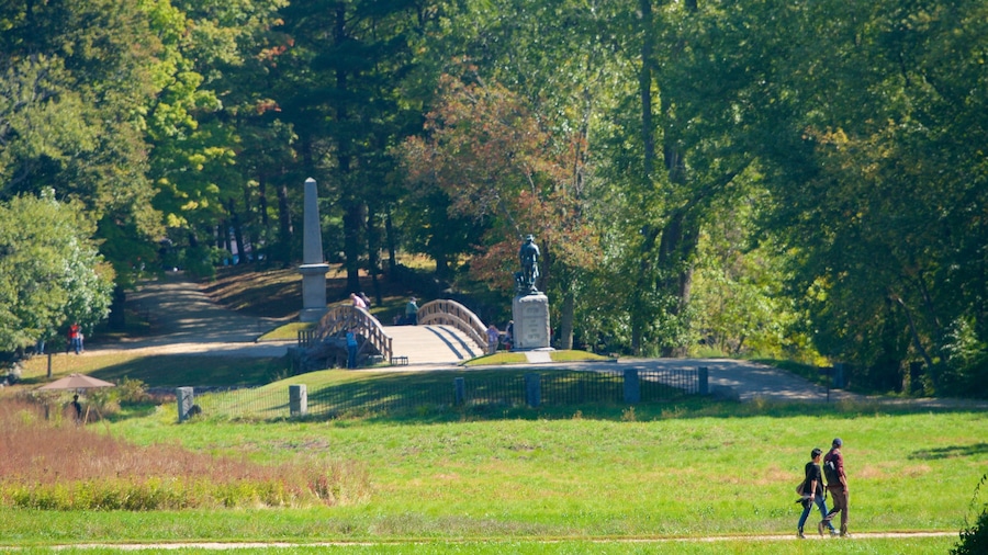 Concord ofreciendo un parque