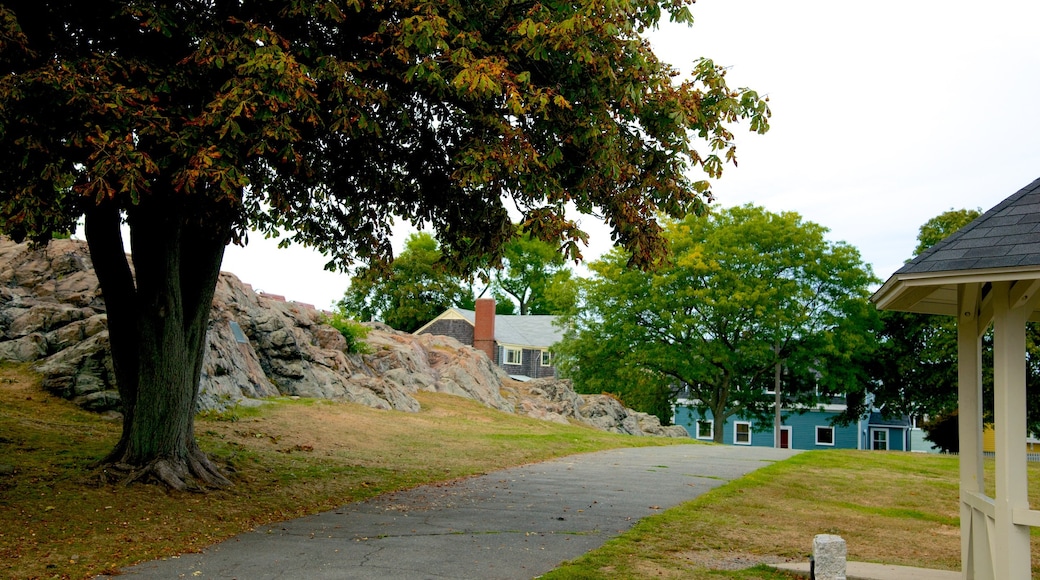 Marblehead mostrando um jardim