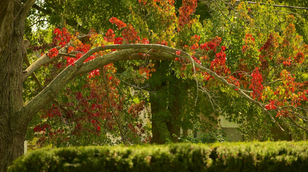 Wethersfield inclusief een tuin