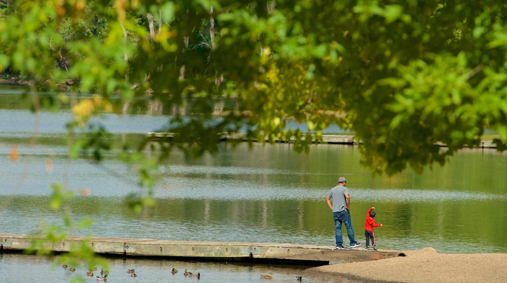 Wethersfield ofreciendo un lago o abrevadero y también una familia