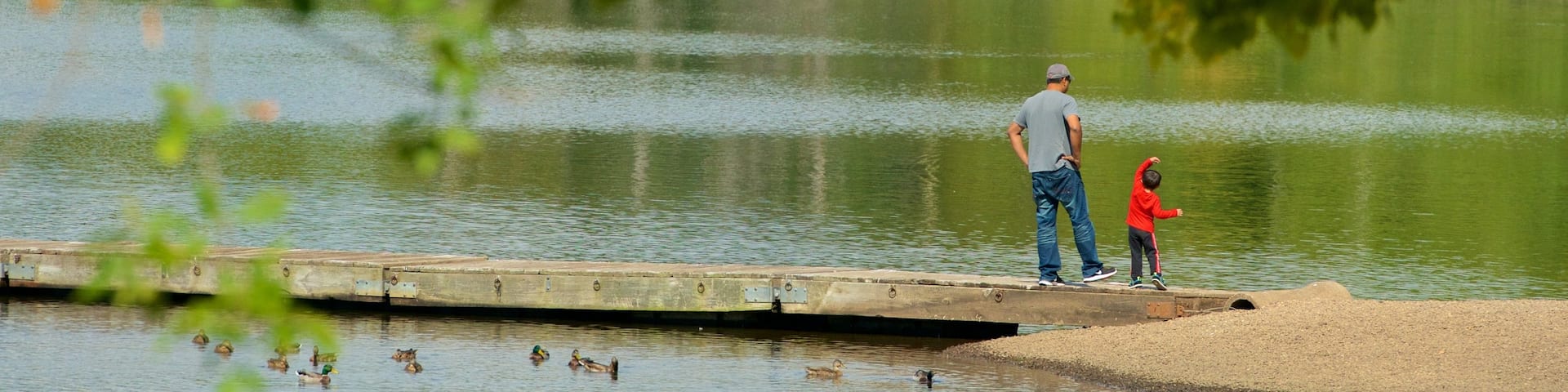 Wethersfield which includes a lake or waterhole as well as a family