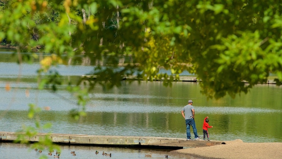 Wethersfield which includes a lake or waterhole as well as a family