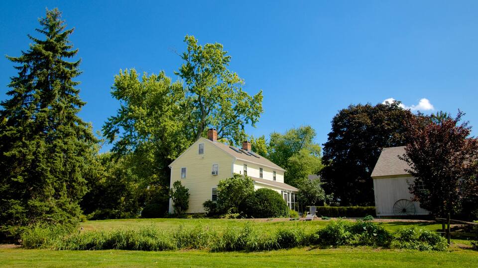 Wethersfield featuring a park, heritage architecture and a house